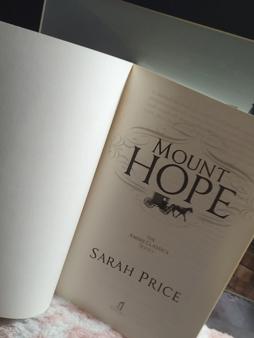 Mount Hope by Sarah Price - 📚/2016 - Picture 3 of 7